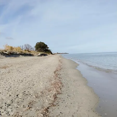 Avec Jardin Piscine Et 100 M