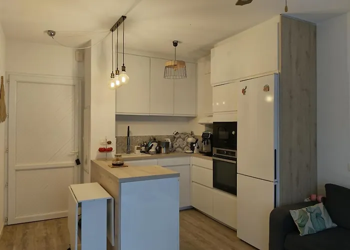 Apartment Avec Jardin Piscine Et 100 M