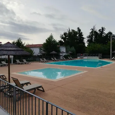 With Pool And 100 M Apartment *