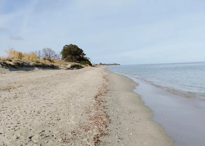 Avec Jardin Piscine Et 100 M