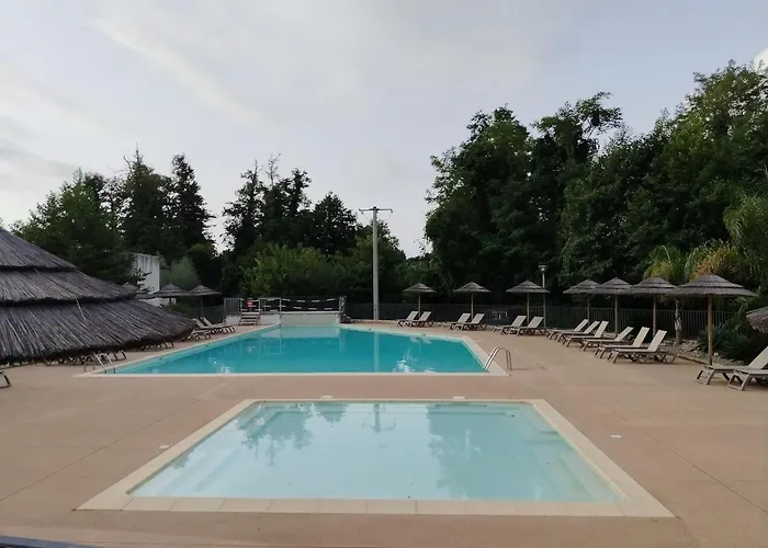 Avec Jardin Piscine Et 100 M Appartamento *