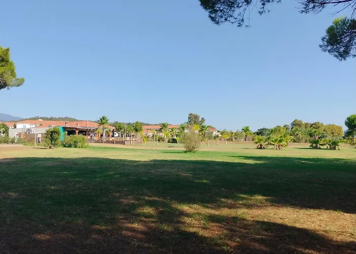 Avec Jardin Piscine Et 100 M Appartamento